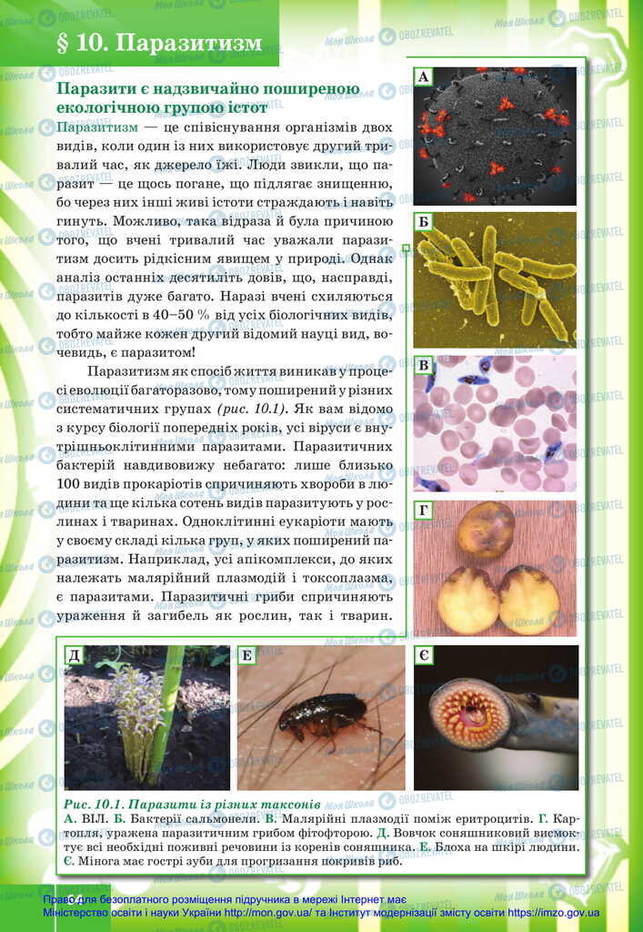 Підручники Біологія 11 клас сторінка 64