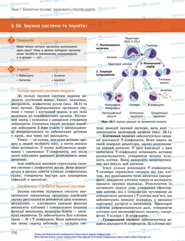 Підручники Біологія 11 клас сторінка 116