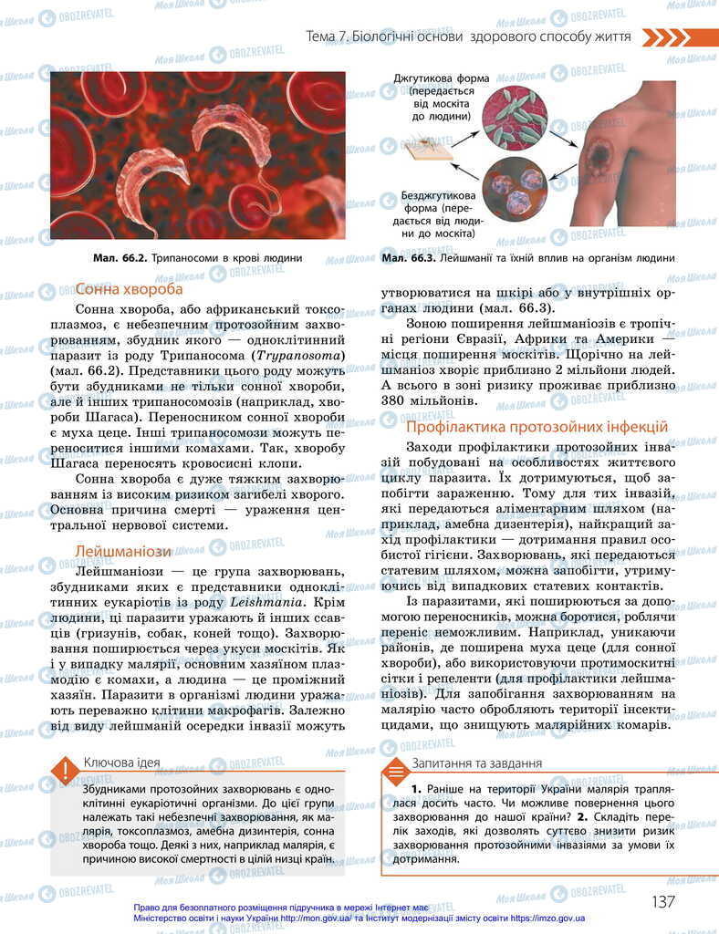 Підручники Біологія 11 клас сторінка 137