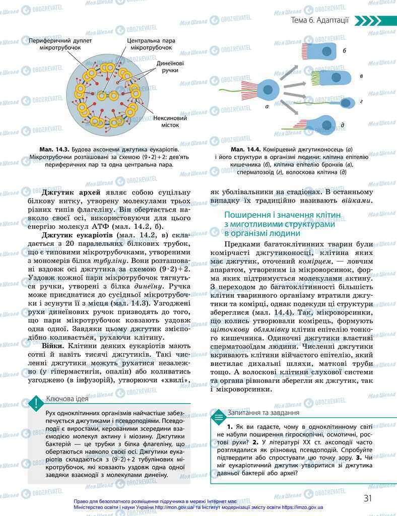 Підручники Біологія 11 клас сторінка 31