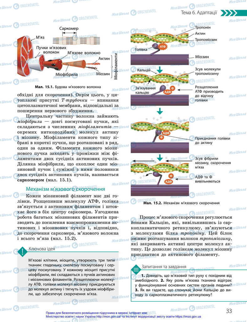 Учебники Биология 11 класс страница 33