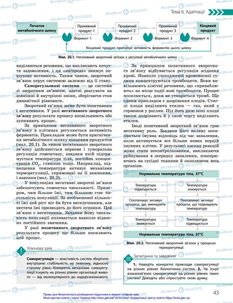 Учебники Биология 11 класс страница 43