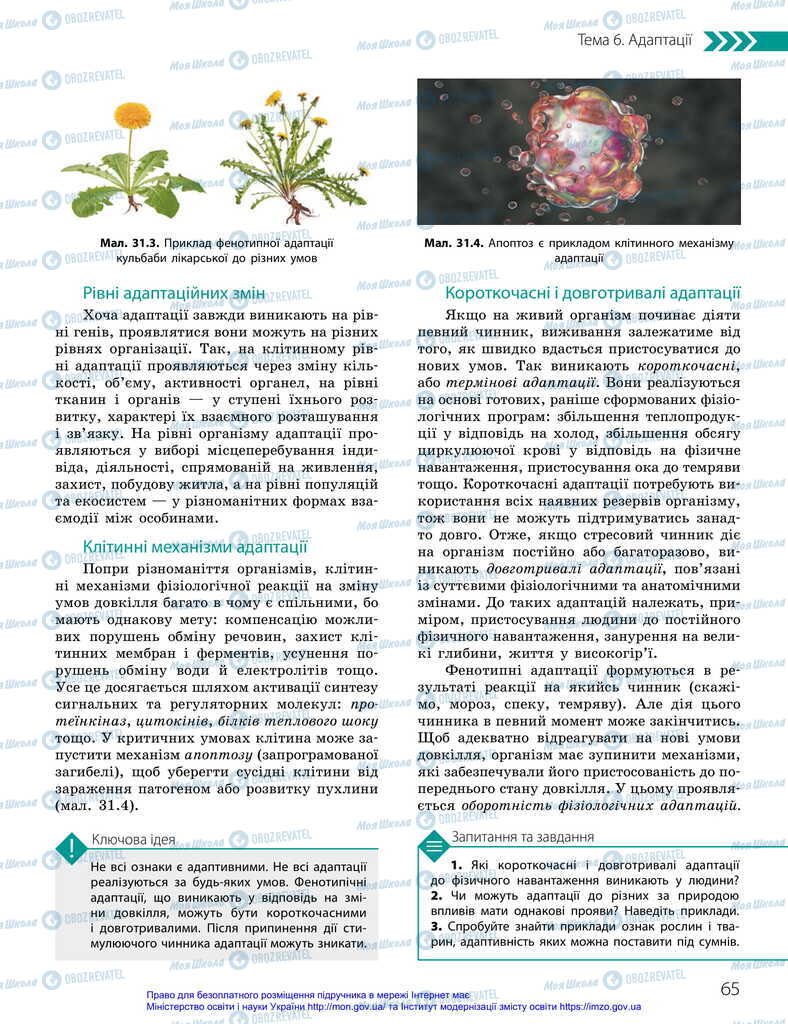 Учебники Биология 11 класс страница 65