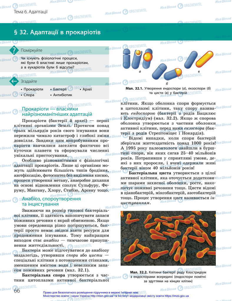 Підручники Біологія 11 клас сторінка 66