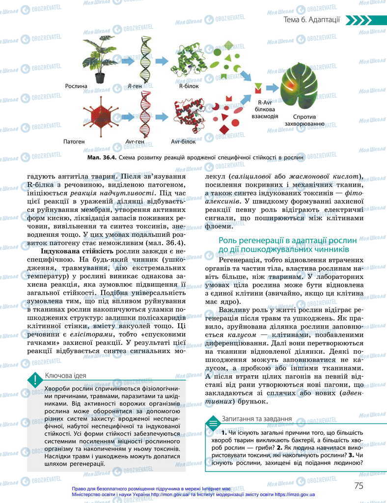 Підручники Біологія 11 клас сторінка 75