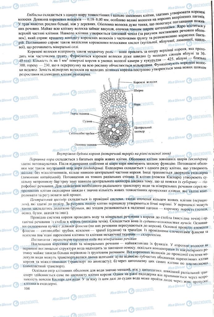 ЗНО Биология 11 класс страница 104