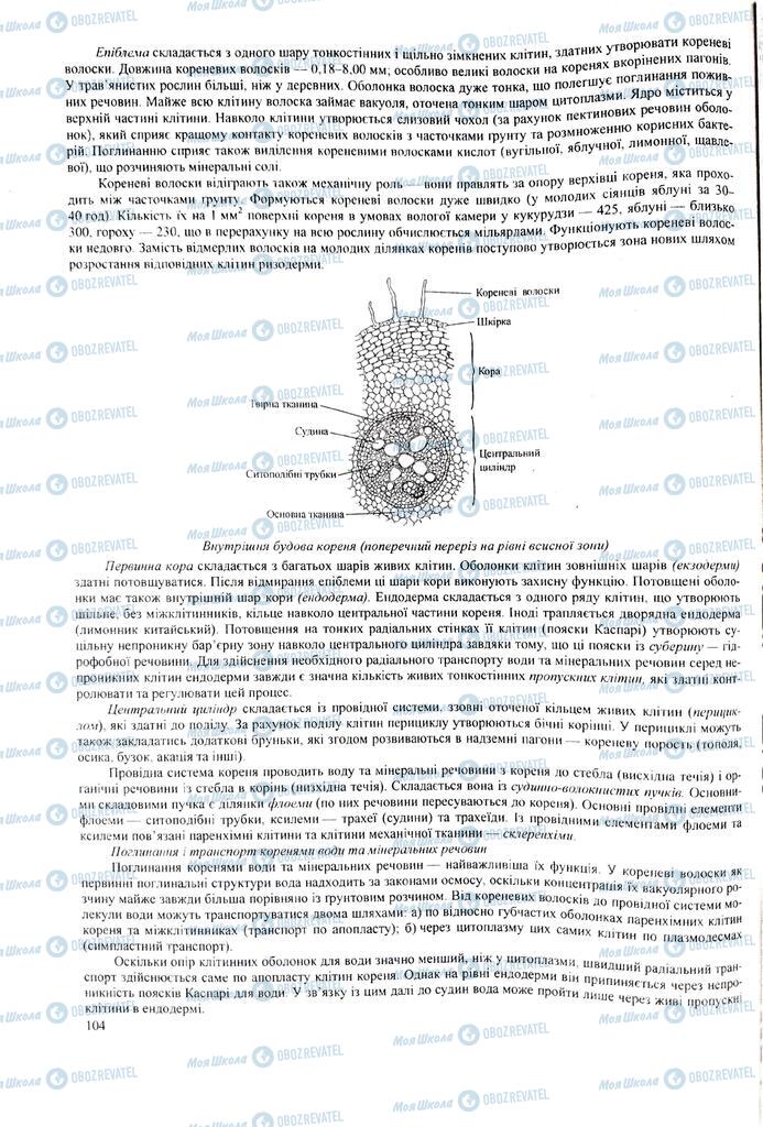 ЗНО Біологія 11 клас сторінка  104