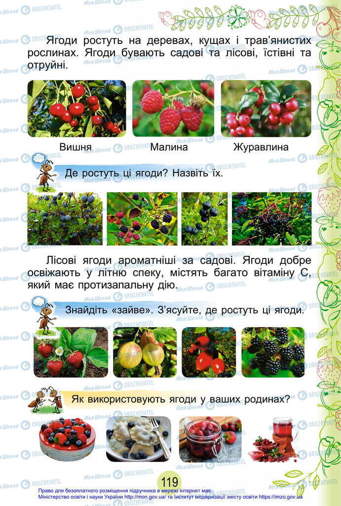 Підручники Я досліджую світ 2 клас сторінка 119