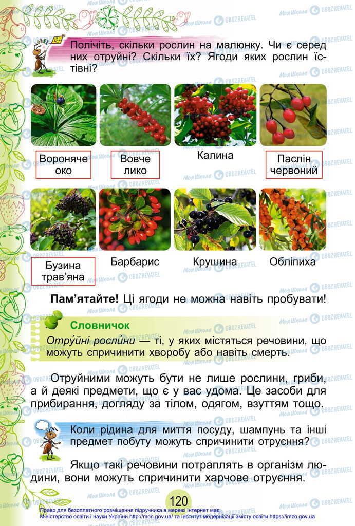 Підручники Я досліджую світ 2 клас сторінка 120