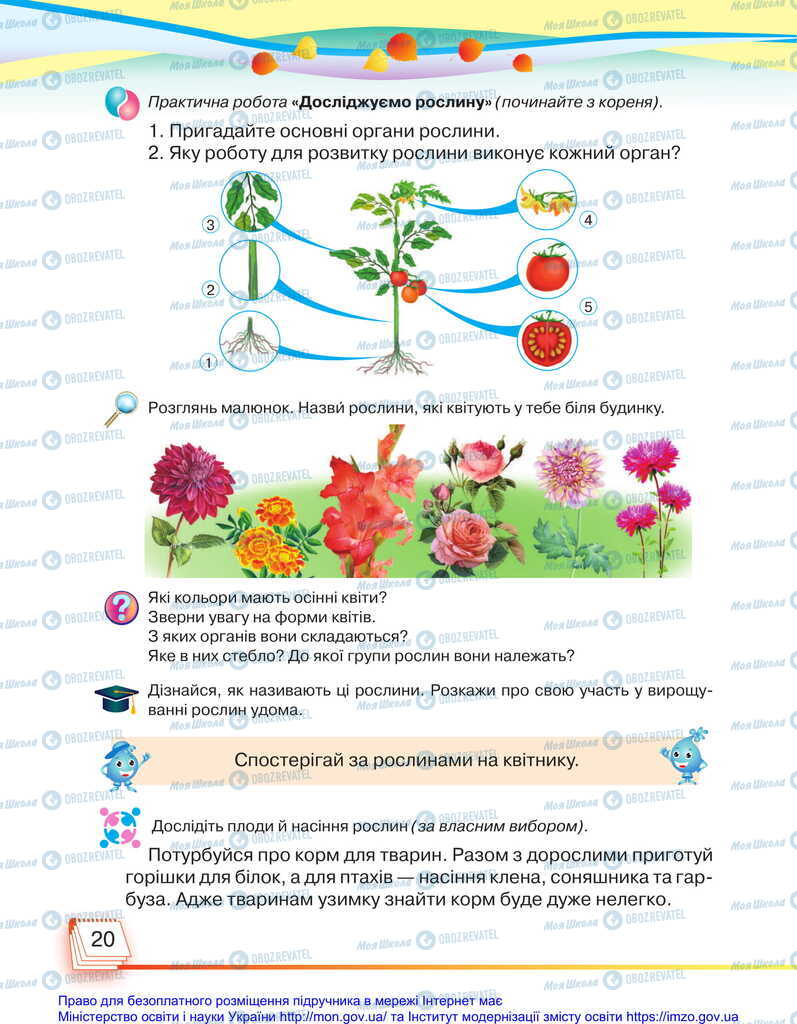 Підручники Я досліджую світ 2 клас сторінка 20