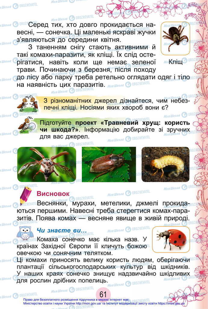 Підручники Я досліджую світ 2 клас сторінка 61