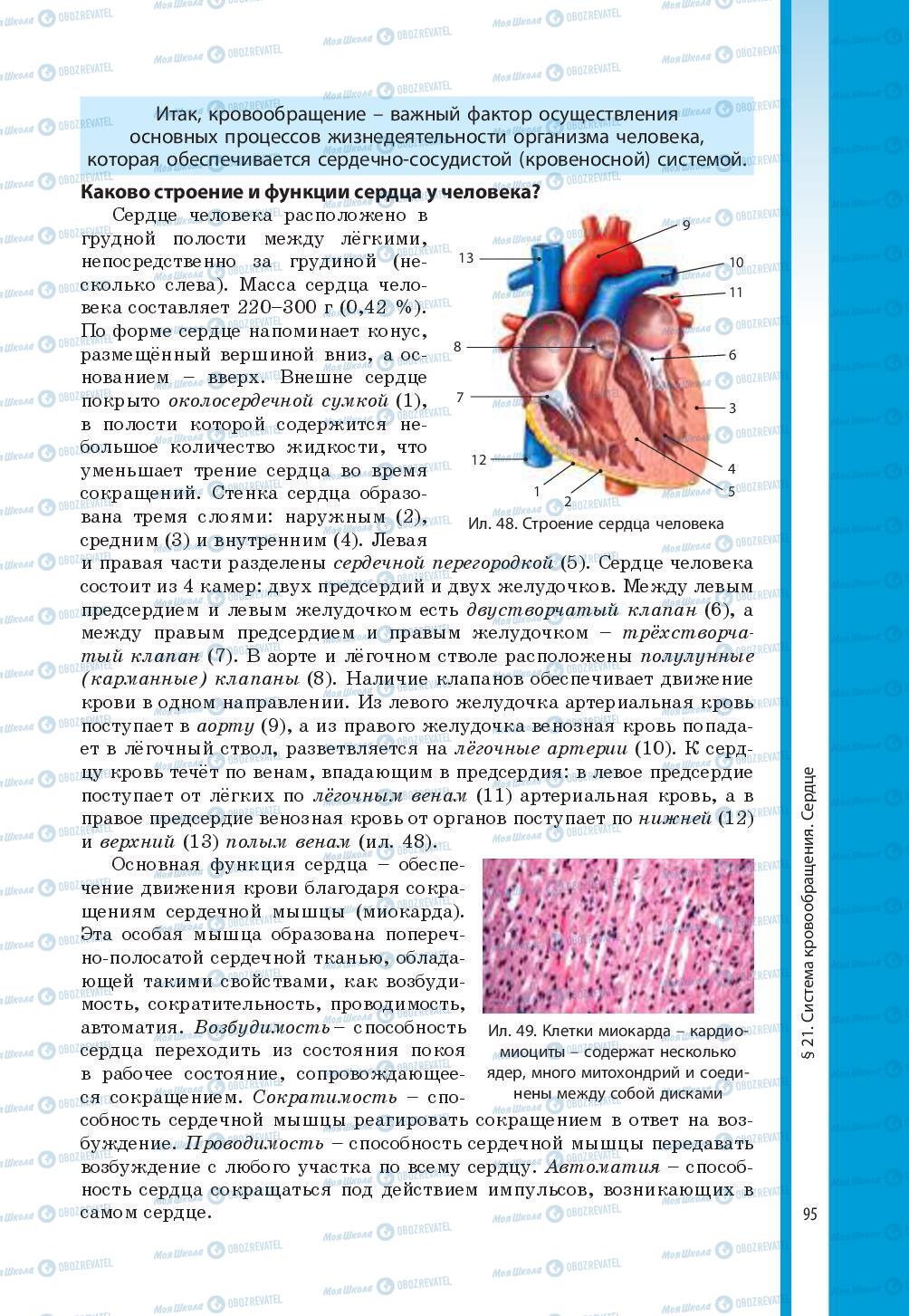 Підручники Біологія 8 клас сторінка 95