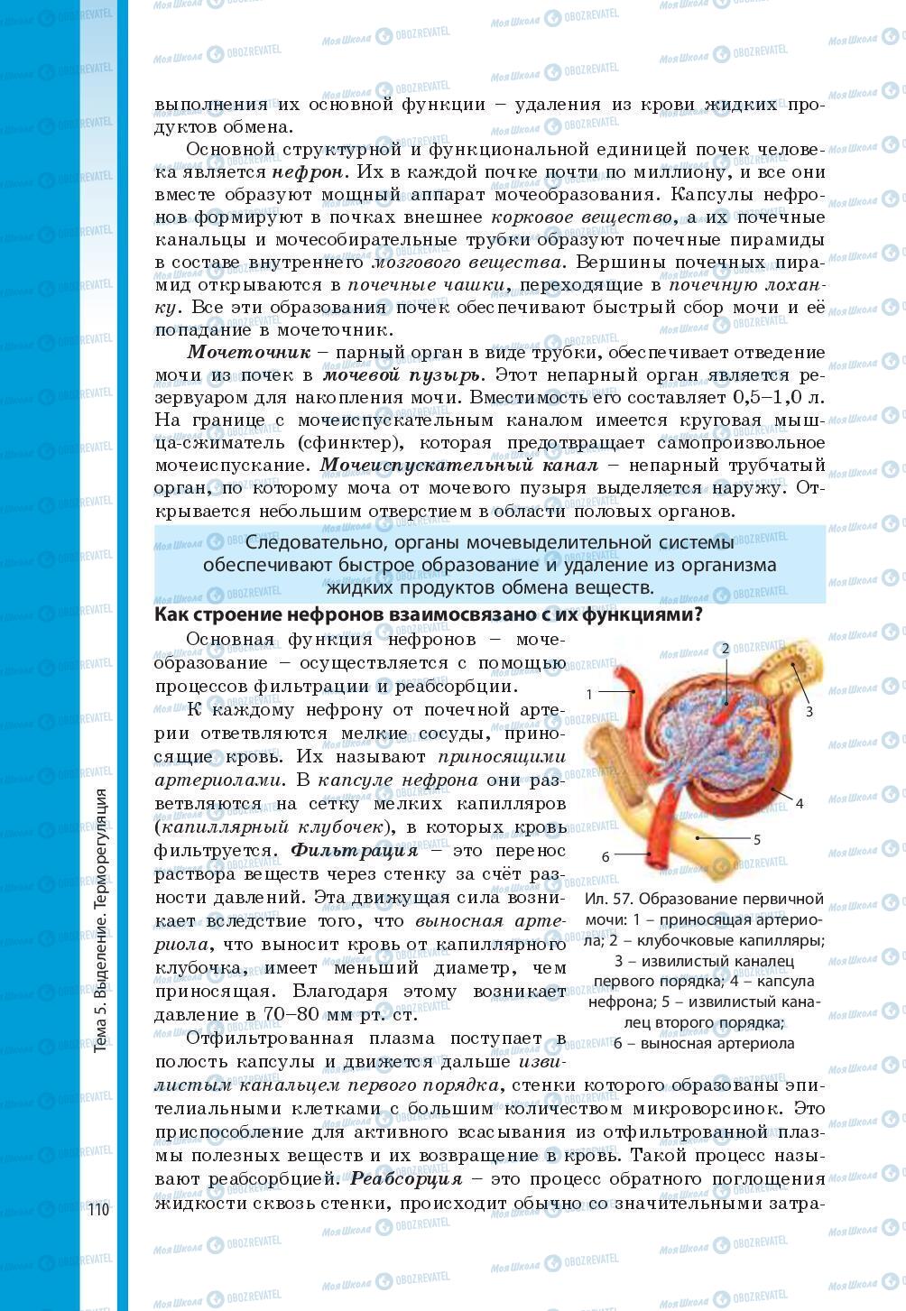 Учебники Биология 8 класс страница 110