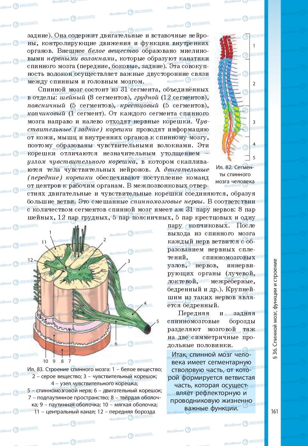 Підручники Біологія 8 клас сторінка 161