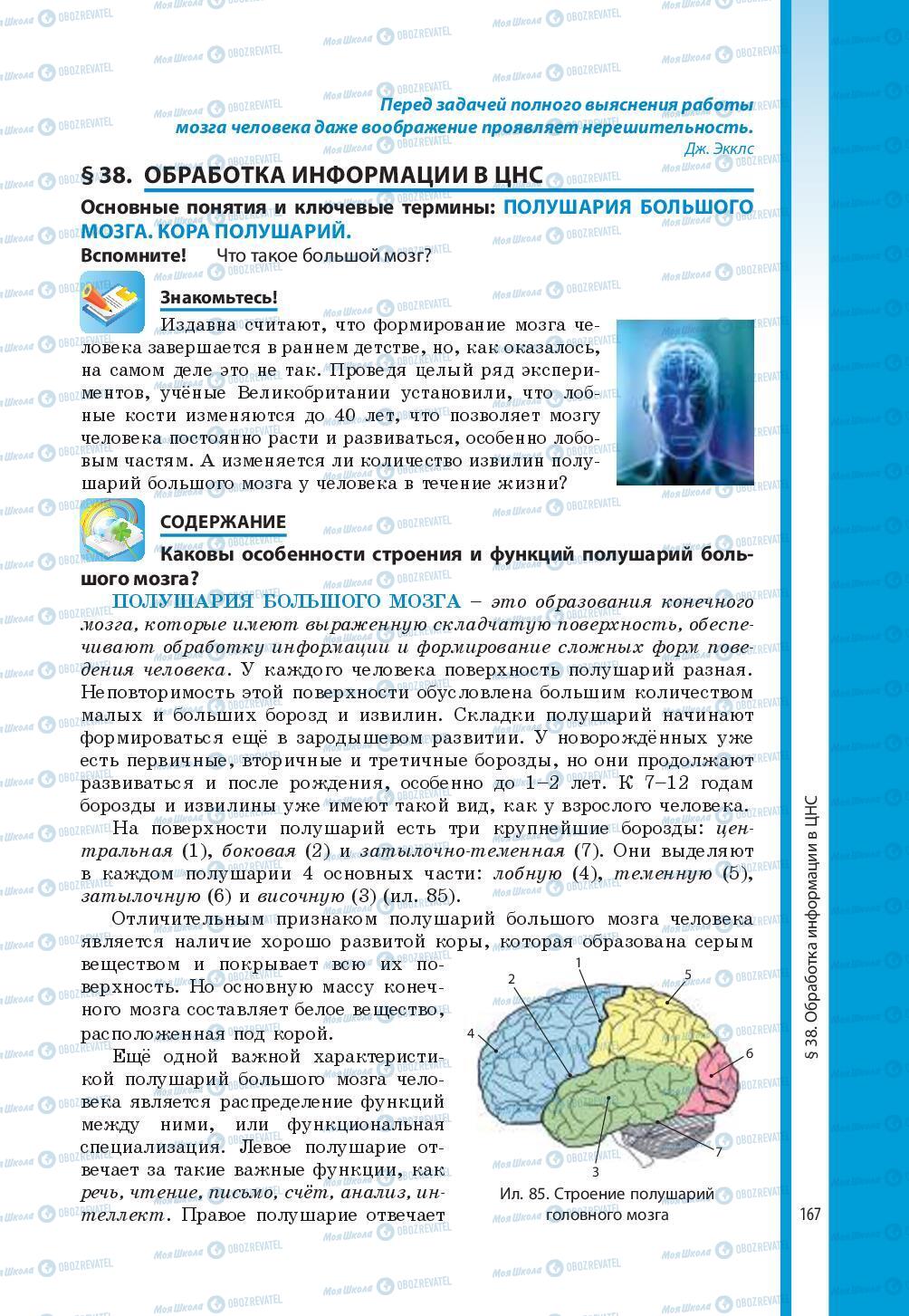 Підручники Біологія 8 клас сторінка 167