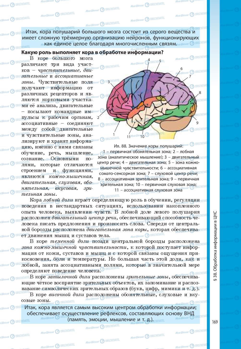 Підручники Біологія 8 клас сторінка 169