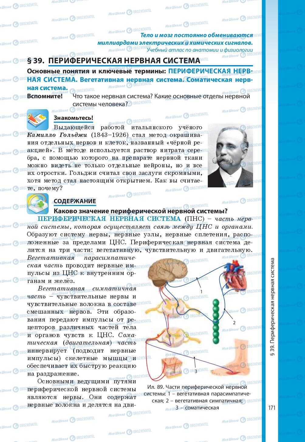 Підручники Біологія 8 клас сторінка 171