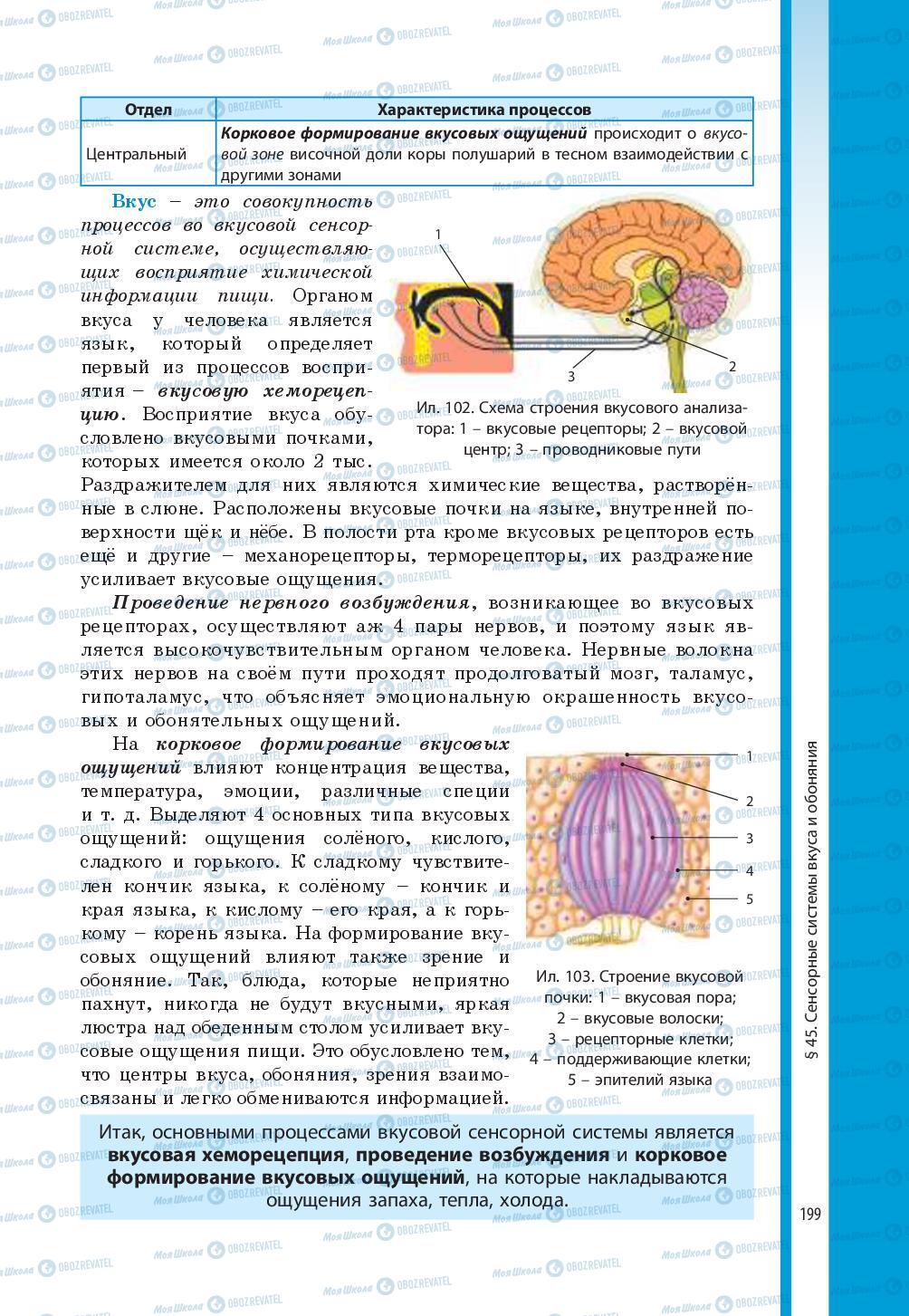 Підручники Біологія 8 клас сторінка 199