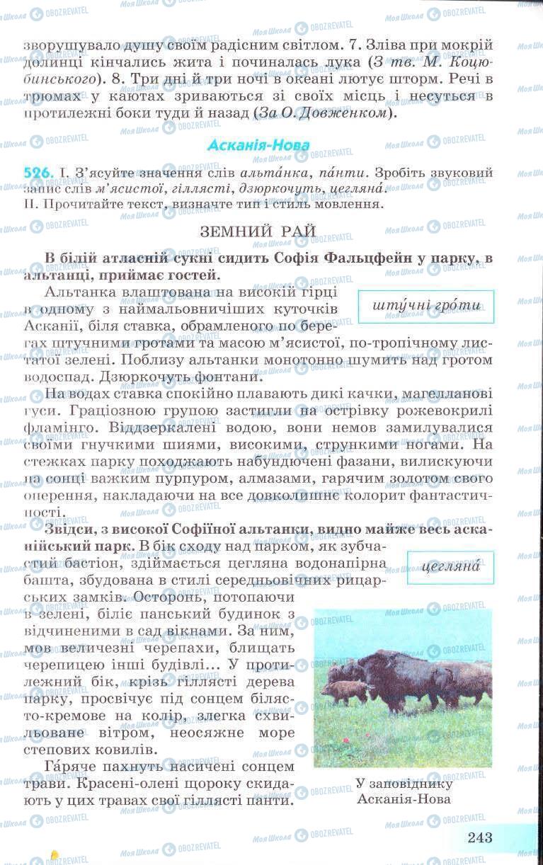 Підручники Українська мова 8 клас сторінка 243