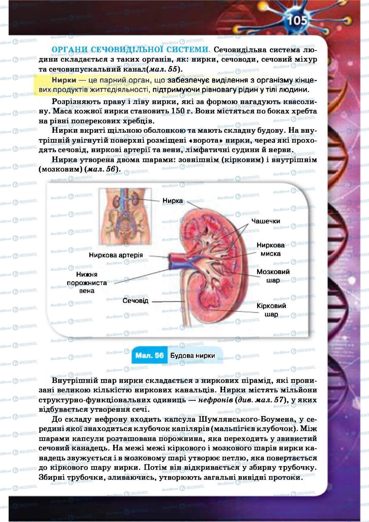 Підручники Біологія 8 клас сторінка 105