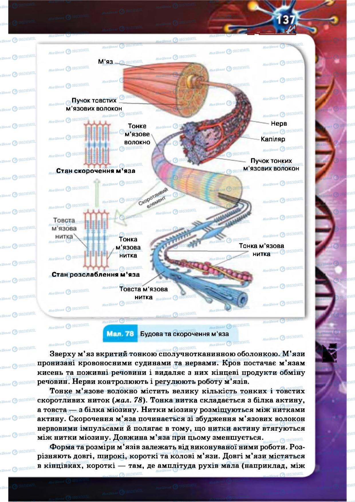 Підручники Біологія 8 клас сторінка 137