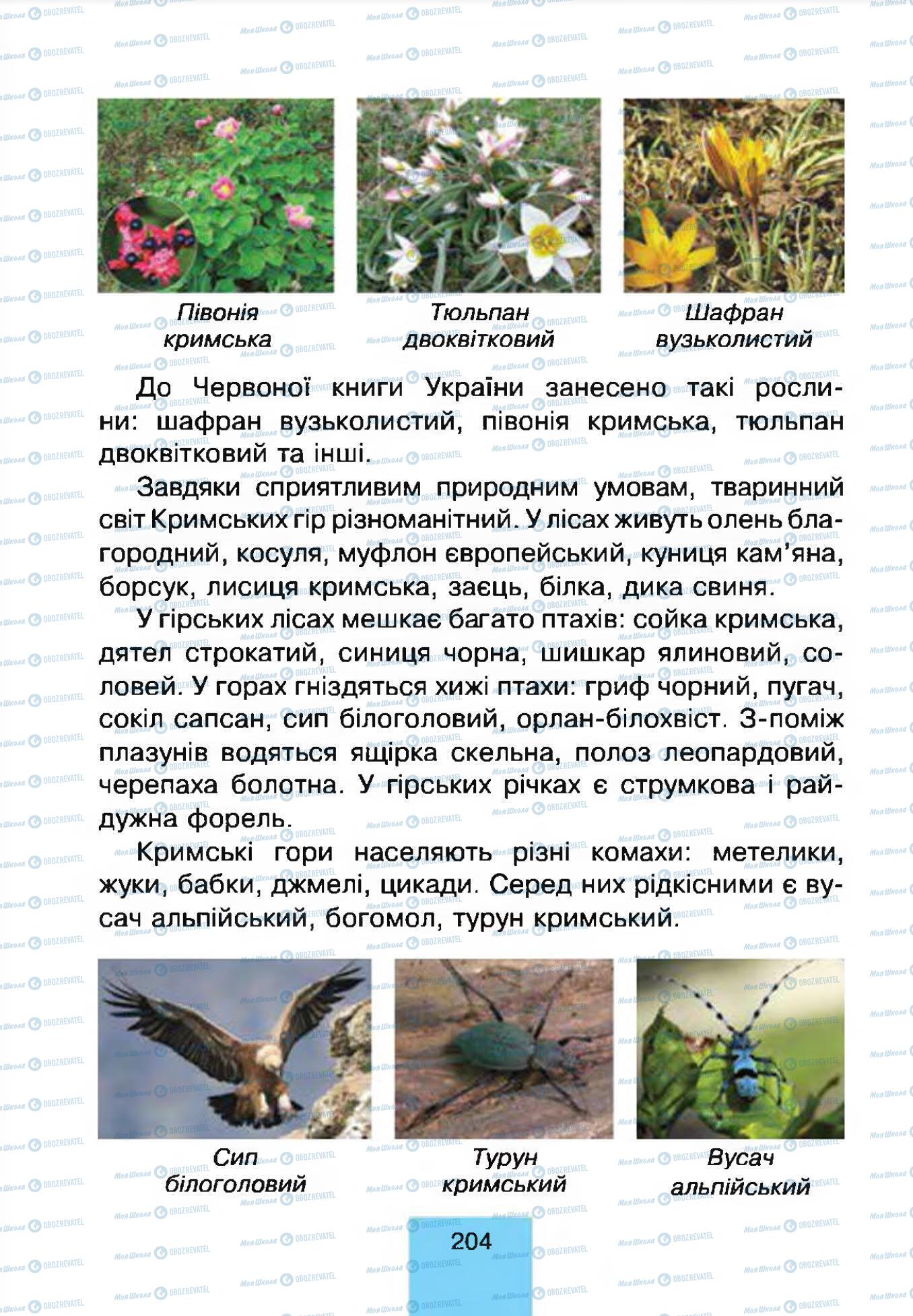 Підручники Природознавство 4 клас сторінка 204