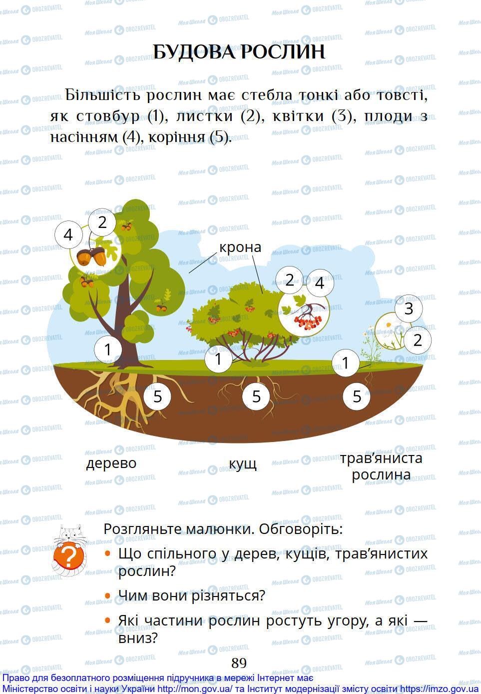 Учебники ЯДС (исследую мир) 1 класс страница 89