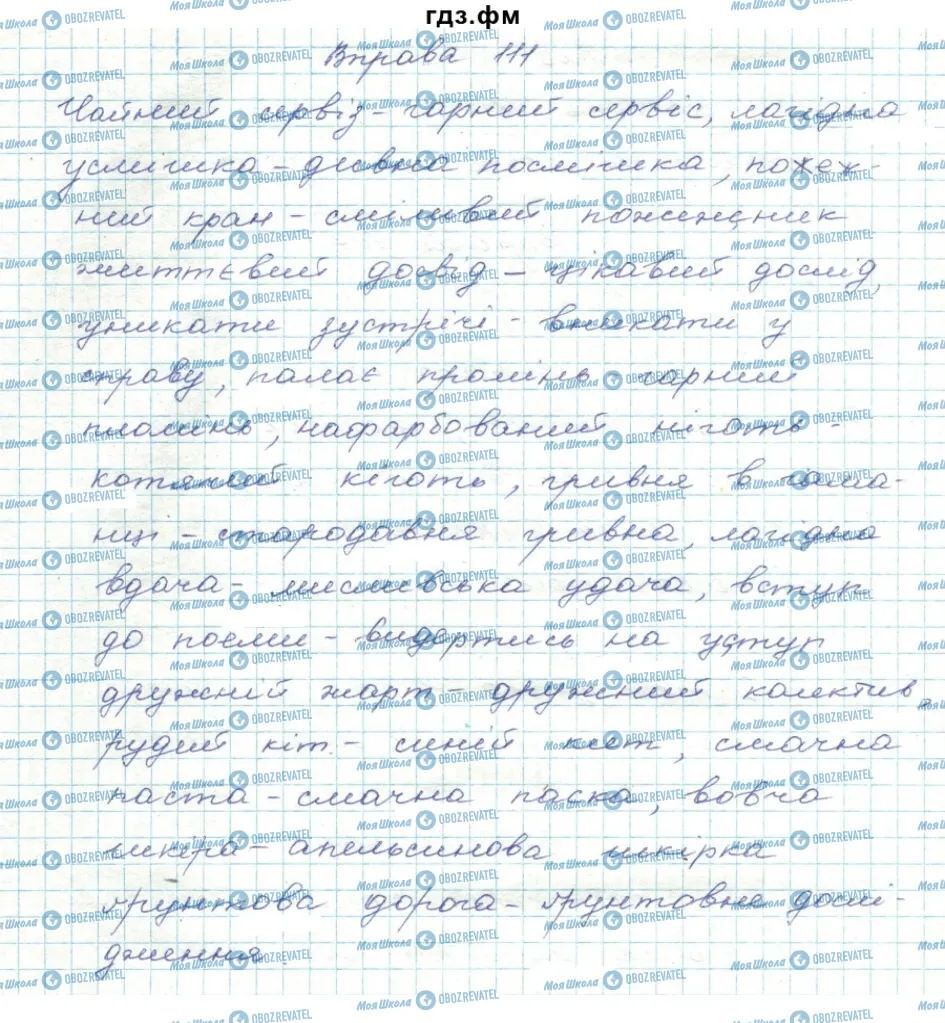 ГДЗ Укр мова 5 класс страница 111