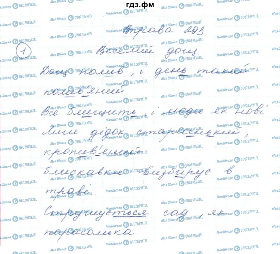 ГДЗ Українська мова 5 клас сторінка 293