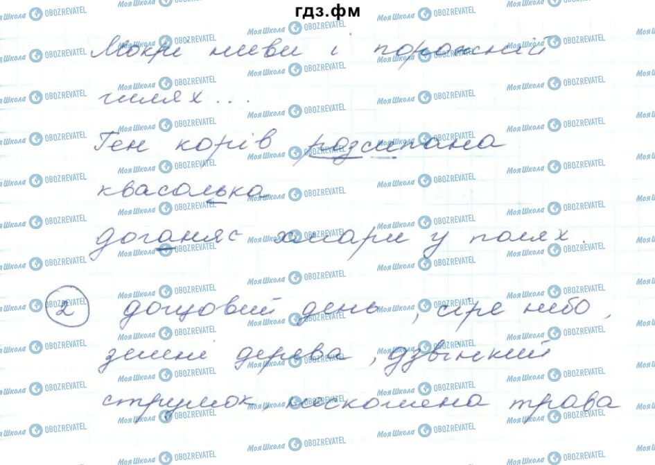 ГДЗ Українська мова 5 клас сторінка 293