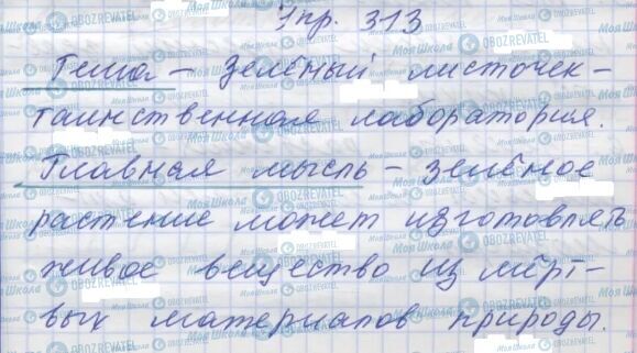 ГДЗ Російська мова 7 клас сторінка 313