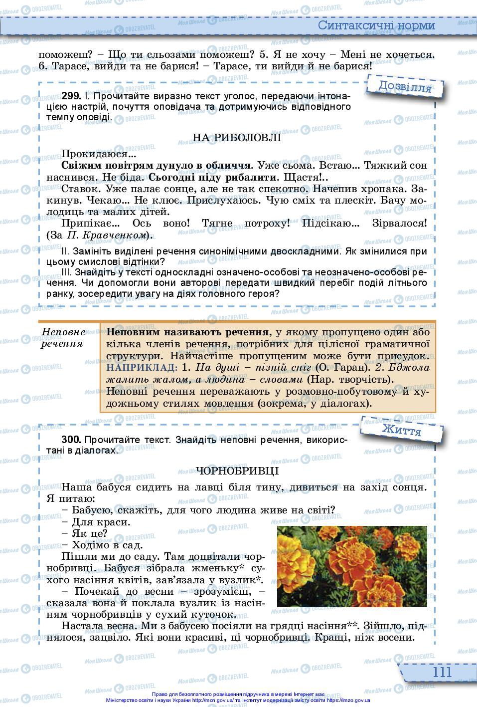 Підручники Українська мова 10 клас сторінка 111