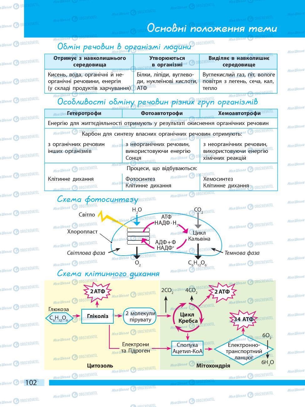 Підручники Біологія 10 клас сторінка 102