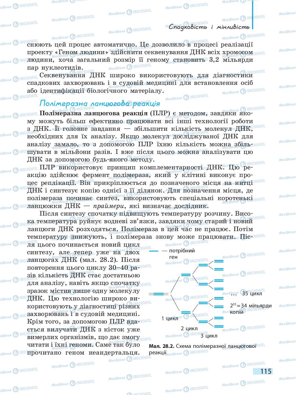 Підручники Біологія 10 клас сторінка 115