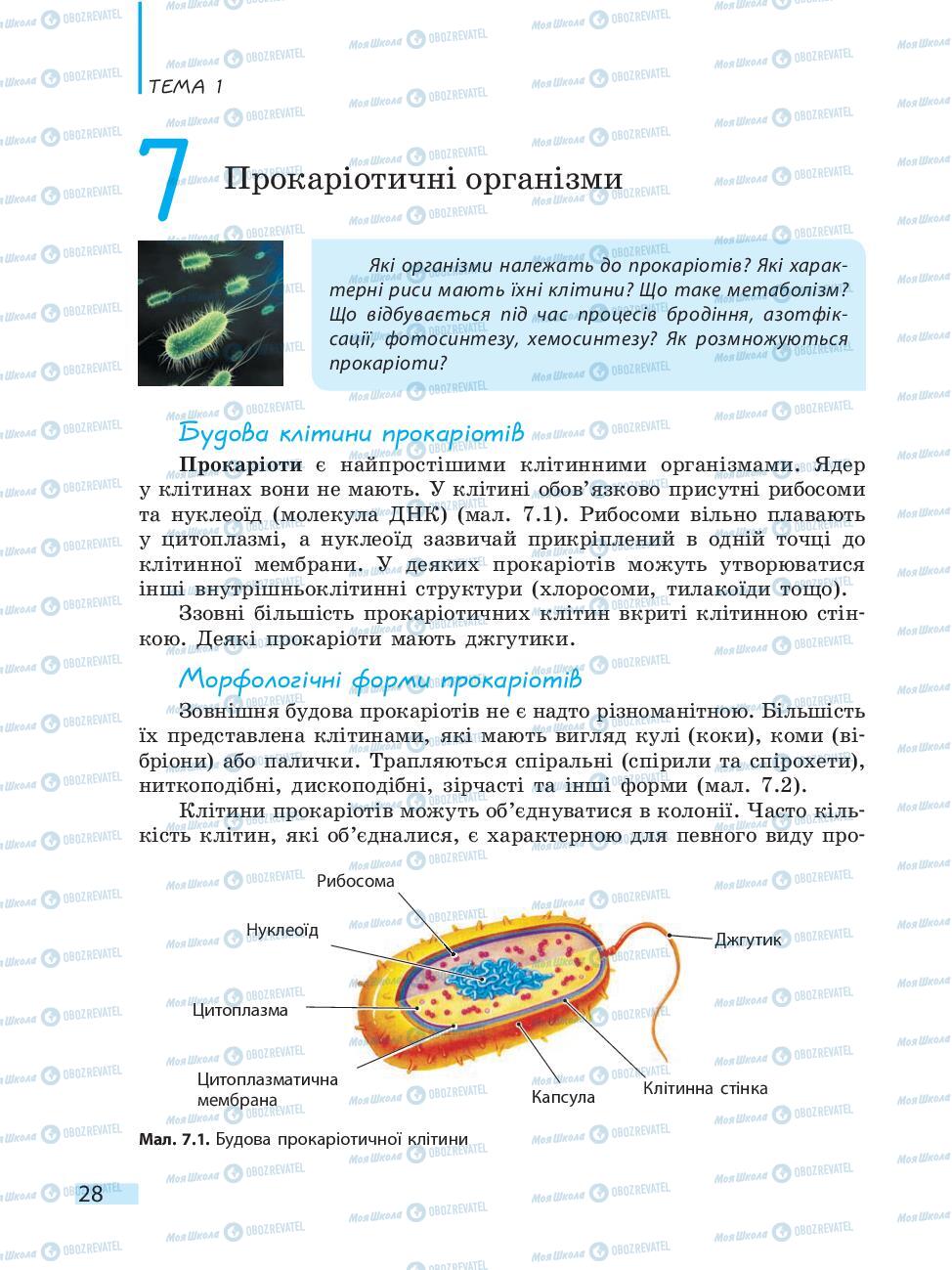 Учебники Биология 10 класс страница 28