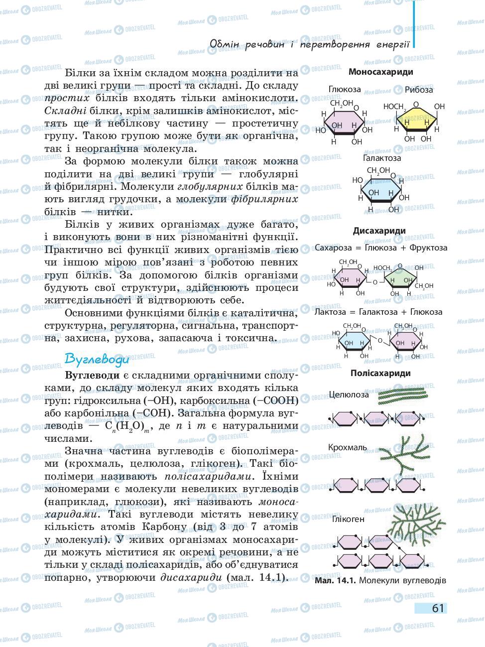 Учебники Биология 10 класс страница 61