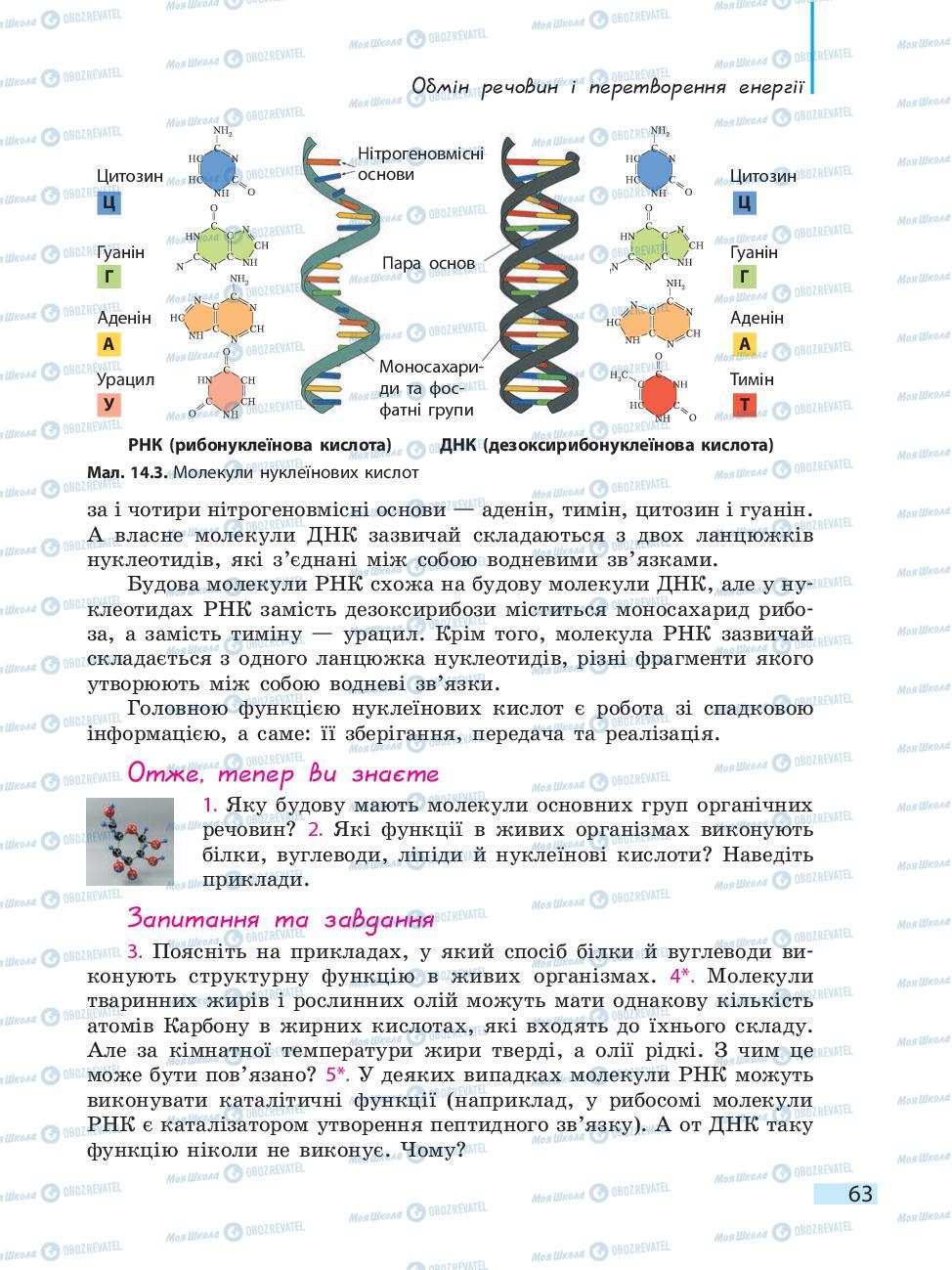 Підручники Біологія 10 клас сторінка 63