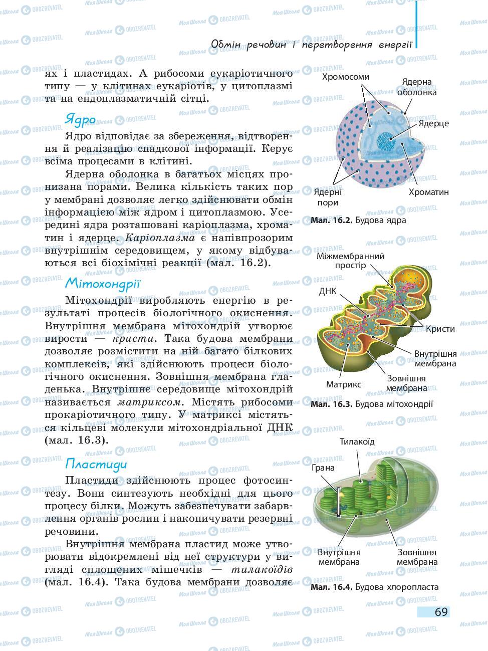Підручники Біологія 10 клас сторінка 69