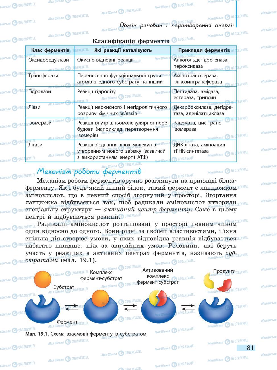 Учебники Биология 10 класс страница 81