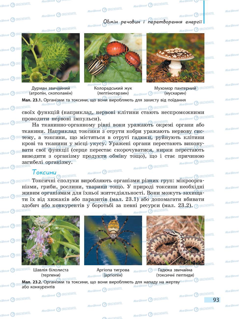 Підручники Біологія 10 клас сторінка 93