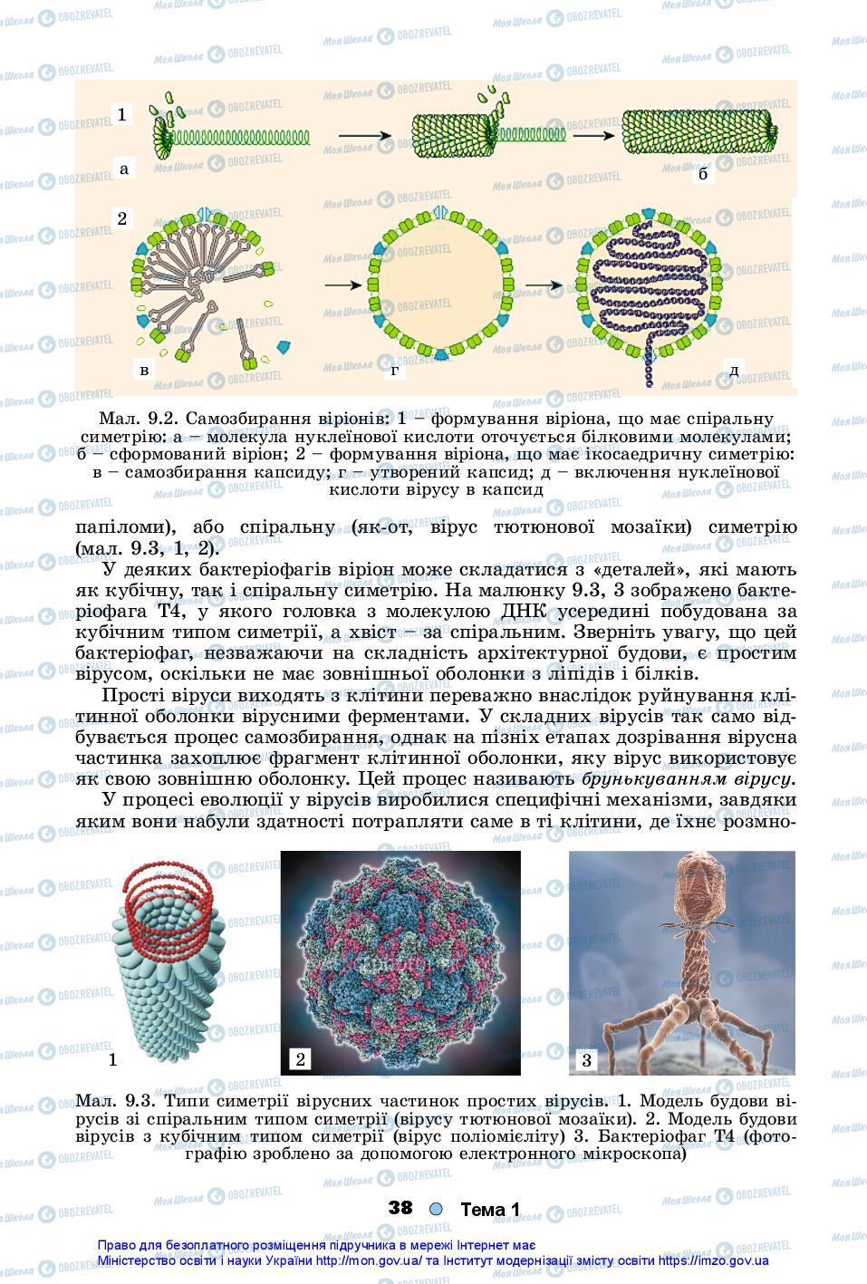 Учебники Биология 10 класс страница 38