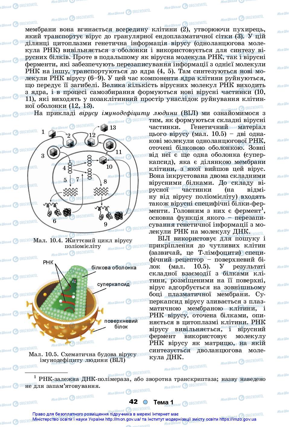 Підручники Біологія 10 клас сторінка 42