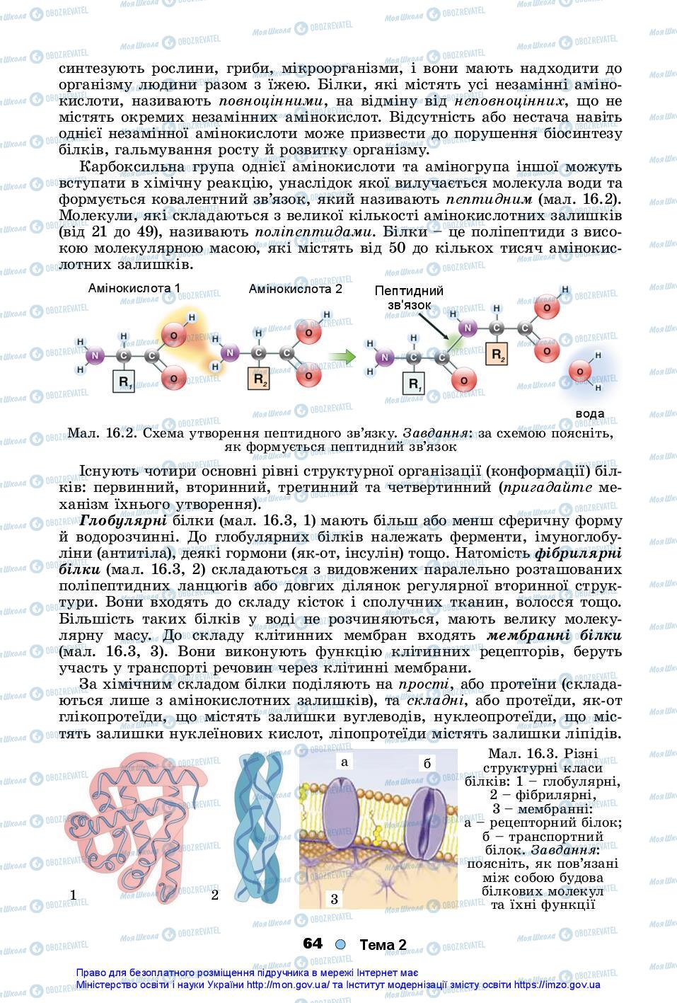 Підручники Біологія 10 клас сторінка 64