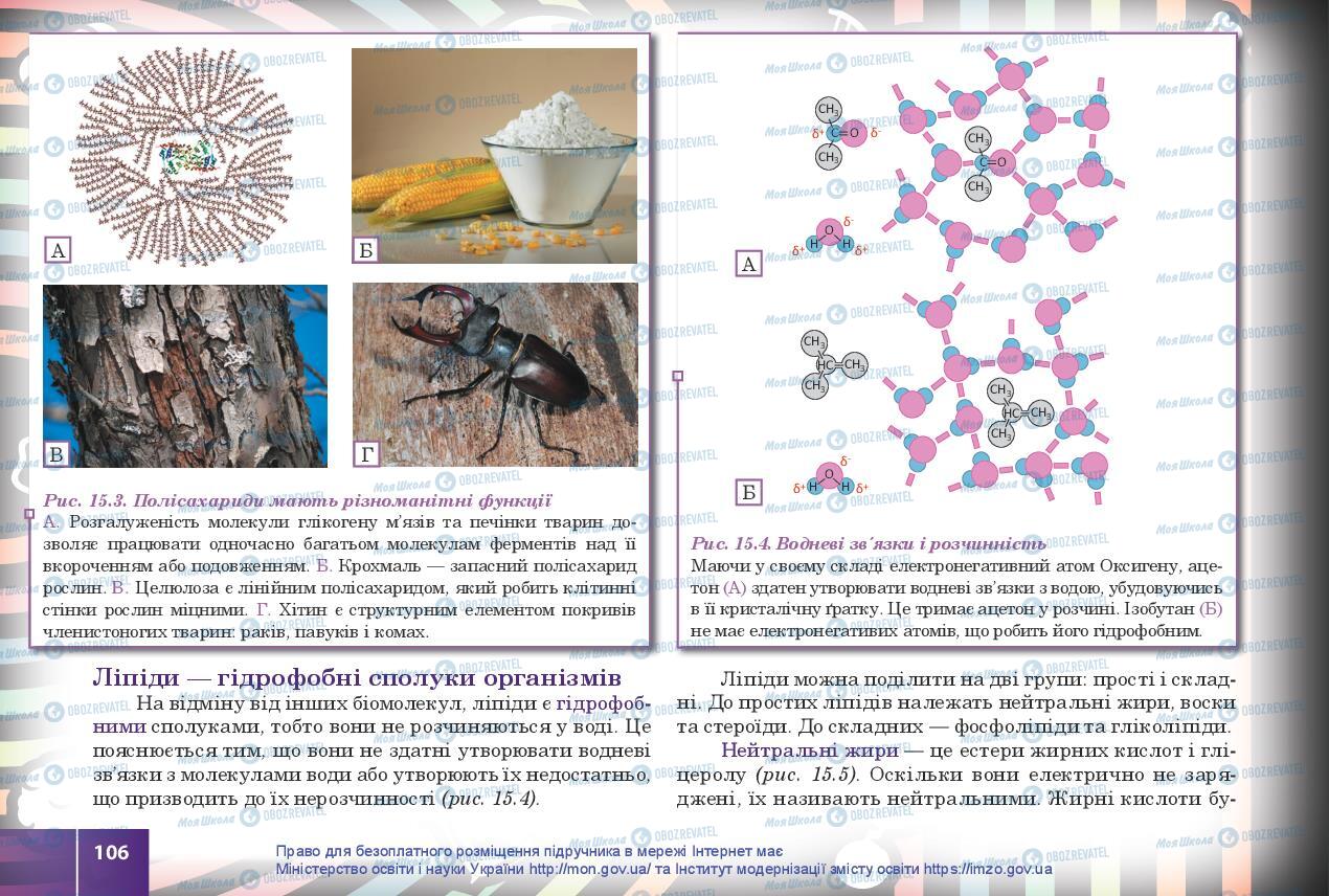 Учебники Биология 10 класс страница 106