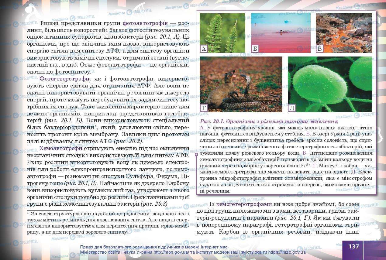 Підручники Біологія 10 клас сторінка 137