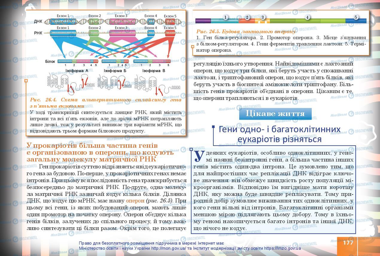 Учебники Биология 10 класс страница 177