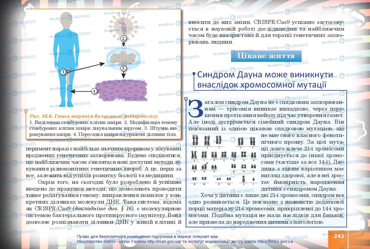 Учебники Биология 10 класс страница 243