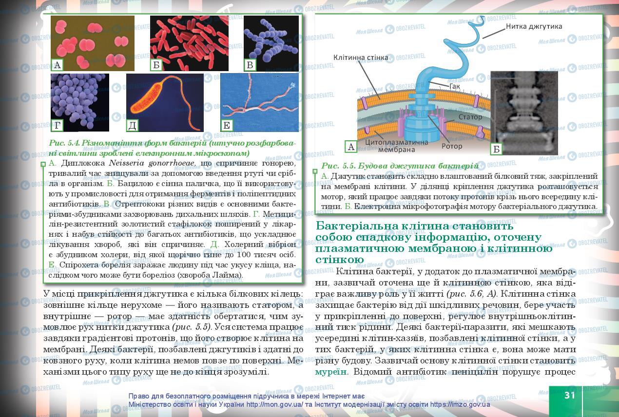 Учебники Биология 10 класс страница 31