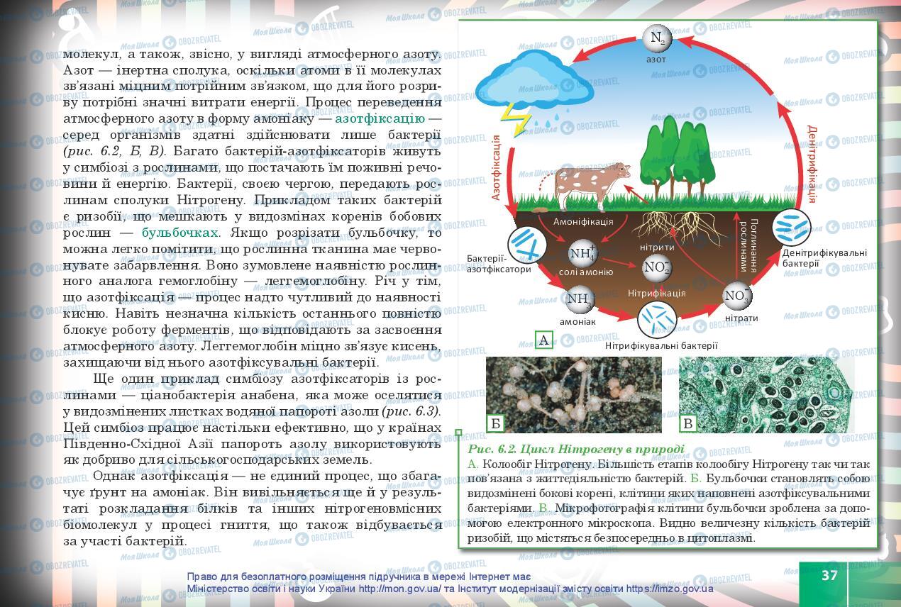 Учебники Биология 10 класс страница 37