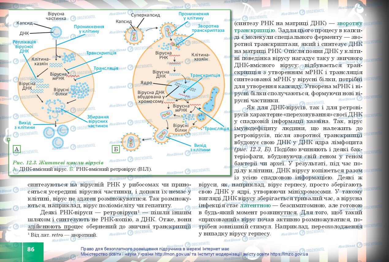 Підручники Біологія 10 клас сторінка 86
